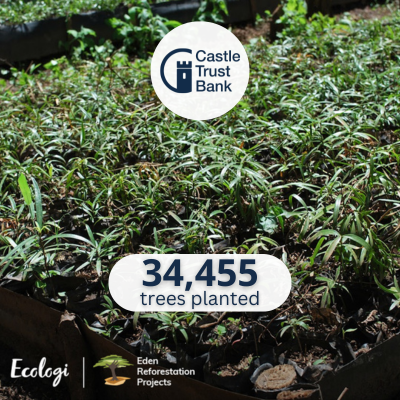 34455 Trees Planted