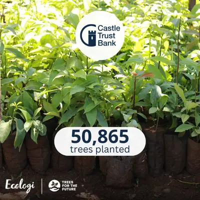 Castle Trust Bank - Sustainability - Plant a Tree with Ecologi