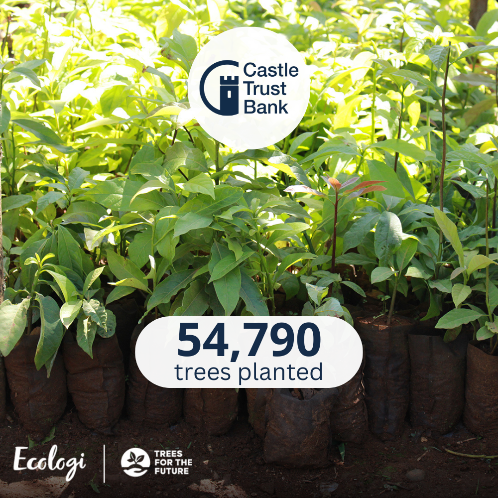 Castle Trust Bank - Sustainability - Plant a Tree with Ecologi