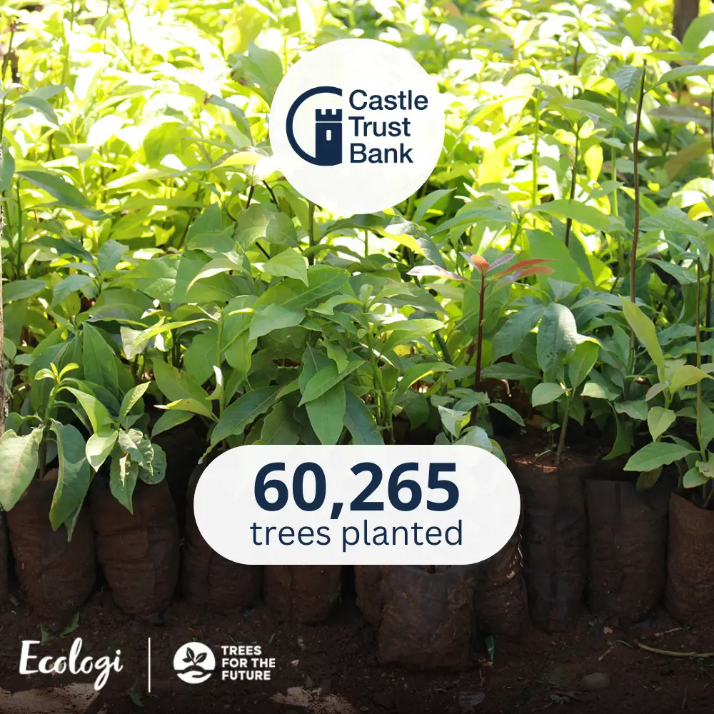 Castle Trust Bank - Sustainability - Plant a Tree with Ecologi