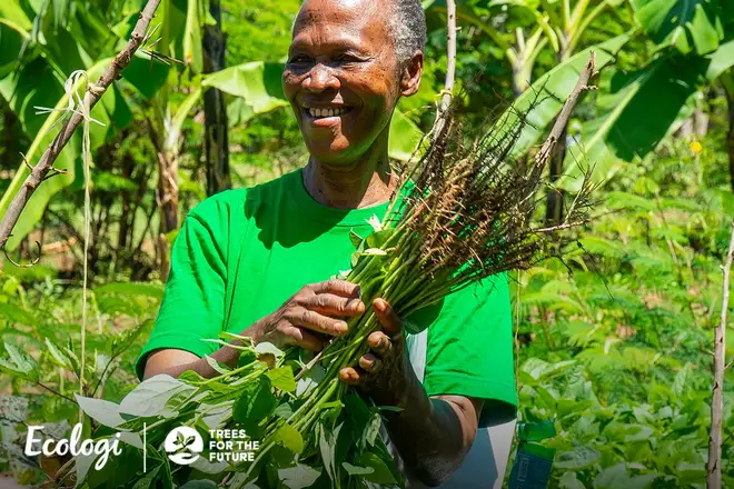 Castle Trust Bank - Ecologi Sustainability - Plant a Tree
