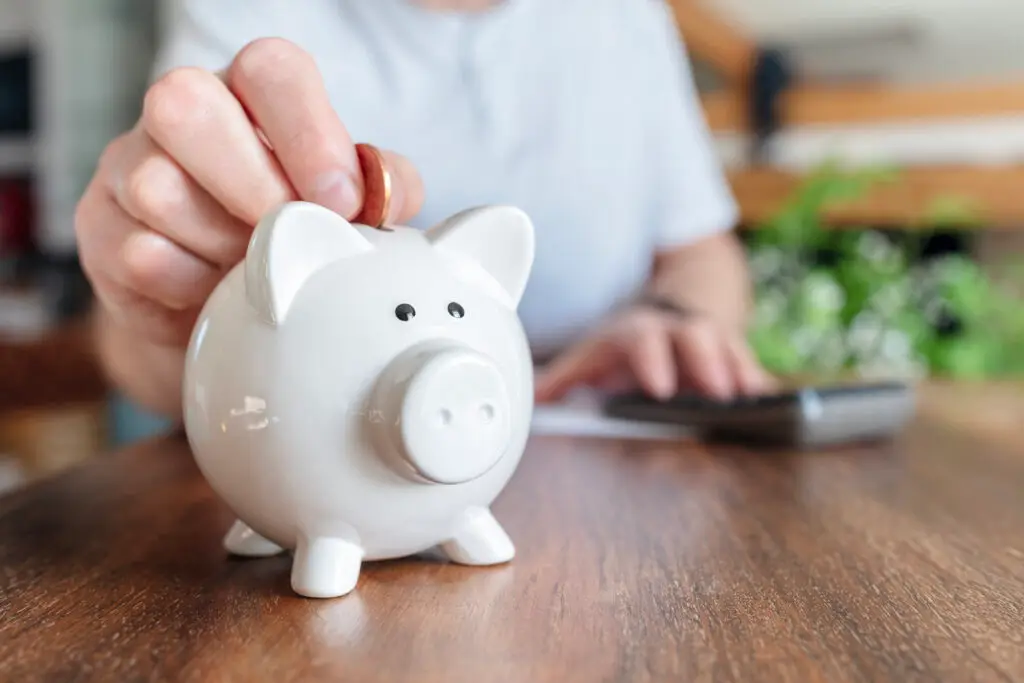ISA reform savings piggy bank